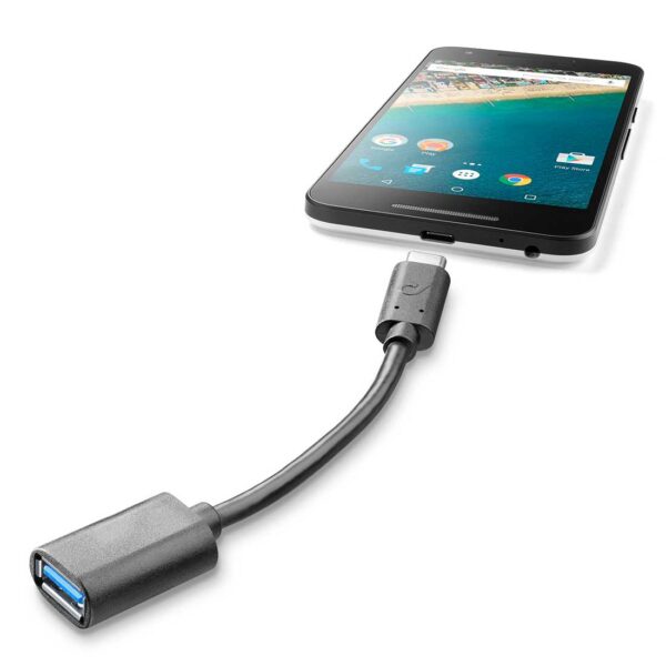 USB-C to USB Adapter