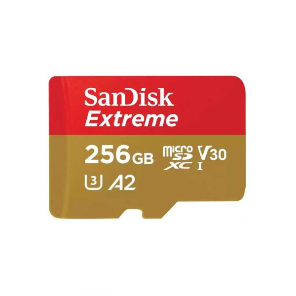 Extreme microSDXC UHS-I Card 256GB