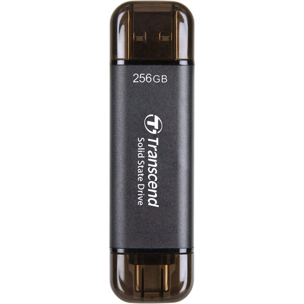 Portable SSD 256GB ESD310C