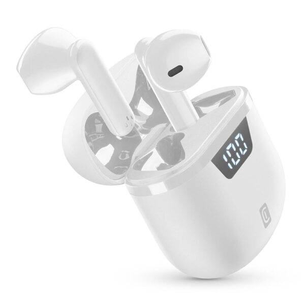 Seek Pro White - Image 4